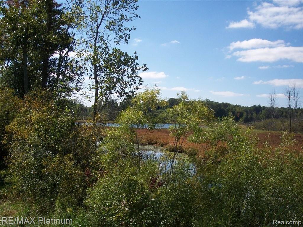 4107 Center Road Linden, MI 48451 - Photo 30 of 40 INDIAN LAKE.JPG