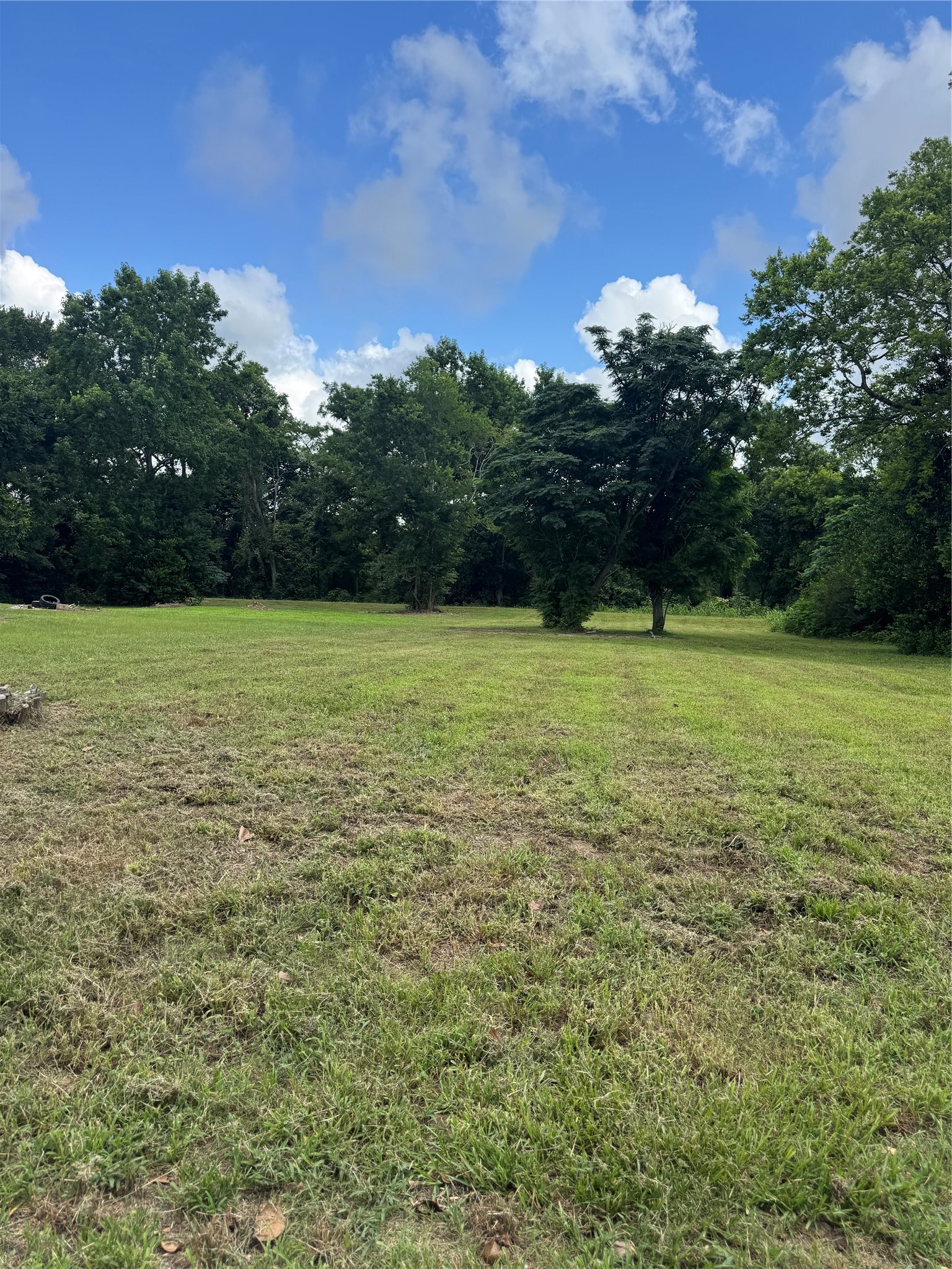 611 Trinity Street Liberty, TX 77575 - Photo 3 of 6