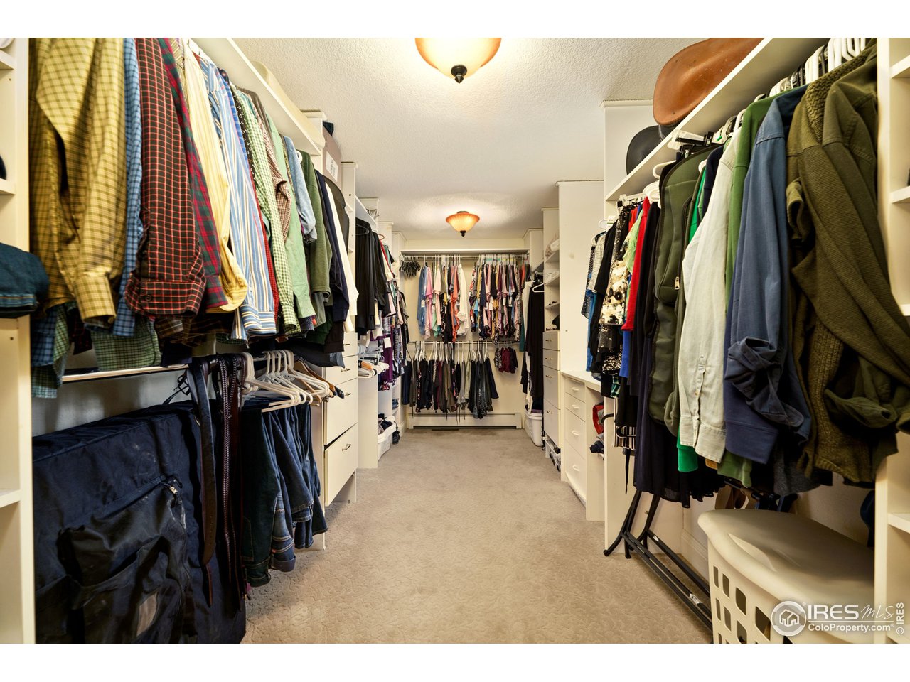 12 Dos Rios Greeley, CO 80634 - Photo 25 of 40 Primary Walk In Closet