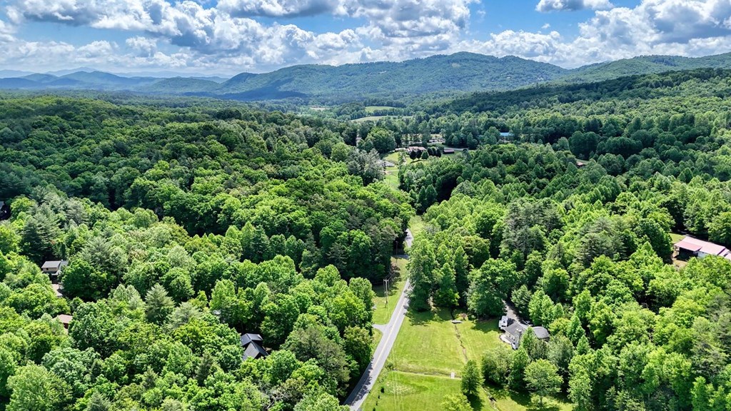 520 Brasstown Road Murphy, NC 28906 - Photo 57 of 61 Gallery Image 57