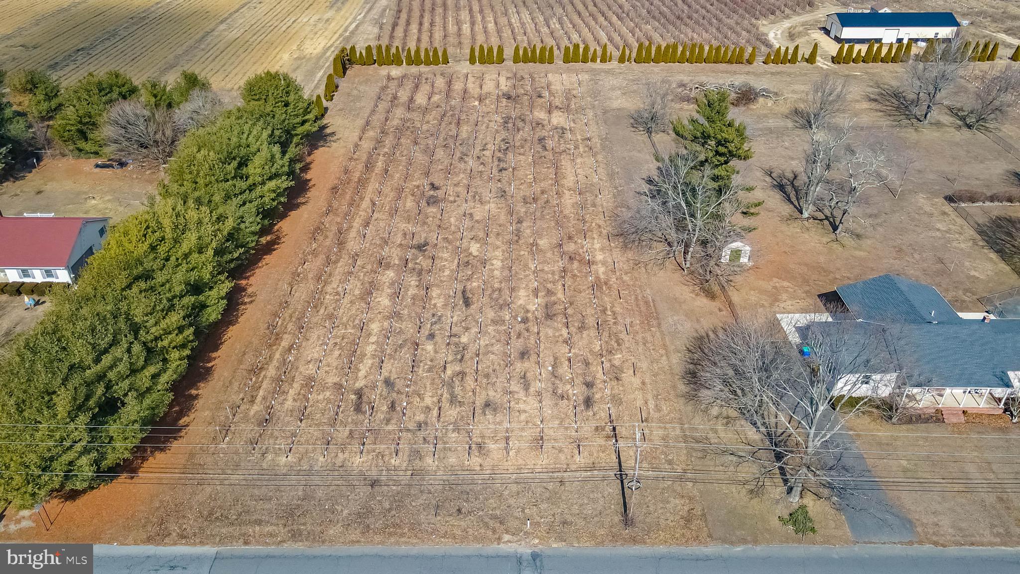 401 Old Forks Road Hammonton, NJ 08037 - Photo 39 of 42