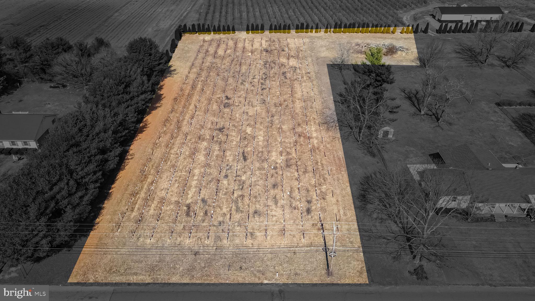 401 Old Forks Road Hammonton, NJ 08037 - Photo 42 of 42