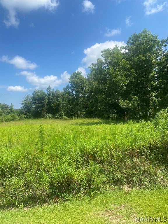 0 County Road 1166 Road Troy, AL 36079 - Photo 10 of 12 Gallery Image 10