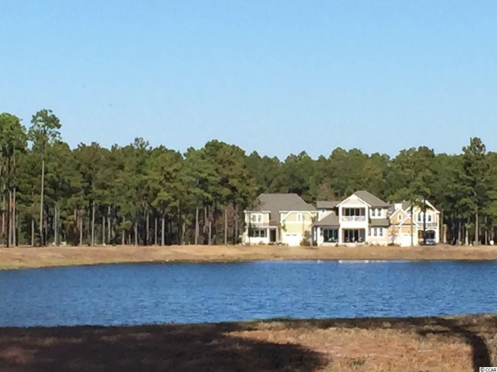 Lot 224 Cottage Shell Drive Myrtle Beach, SC 29579 - Photo 4 of 15 Gallery Image 4