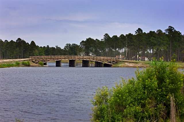 Lot 224 Cottage Shell Drive Myrtle Beach, SC 29579 - Photo 5 of 15 Gallery Image 5