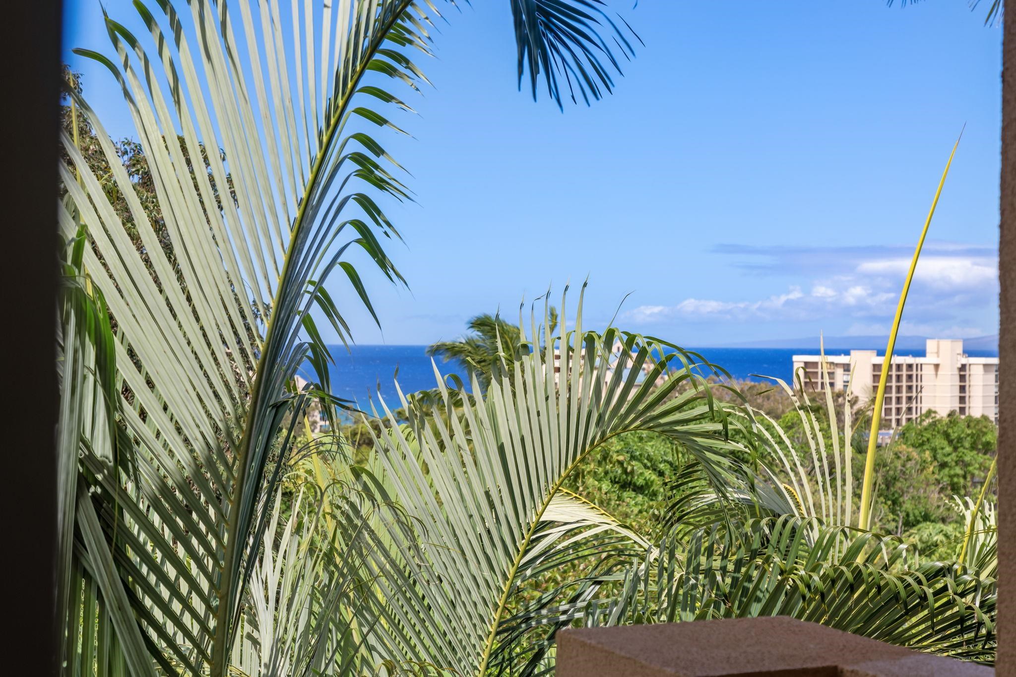 10 Heather Lane, Unit 231 Lahaina, HI 96761 - Photo 20 of 44