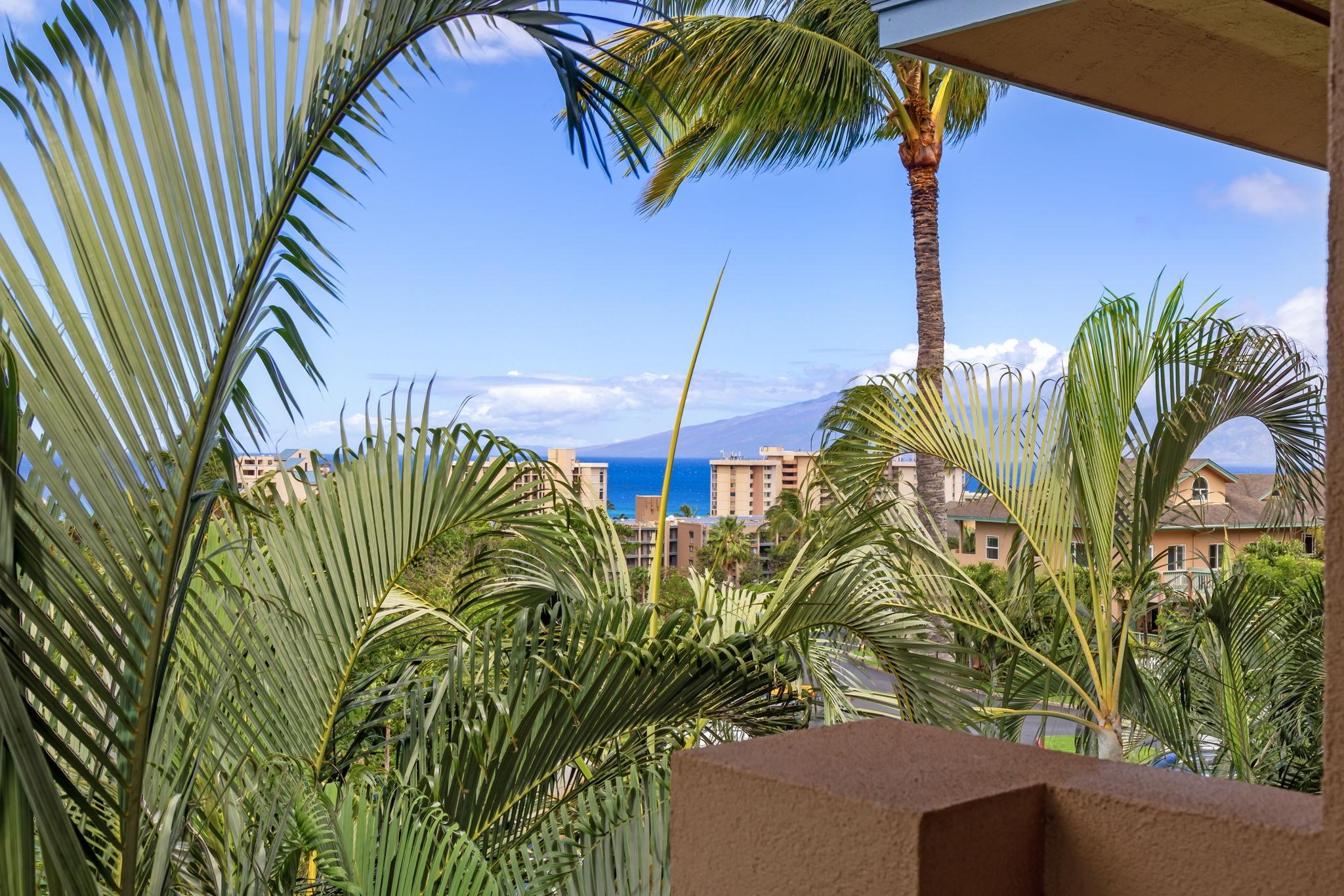 10 Heather Lane, Unit 231 Lahaina, HI 96761 - Photo 21 of 44 a view of a palm plant that is in front of a building