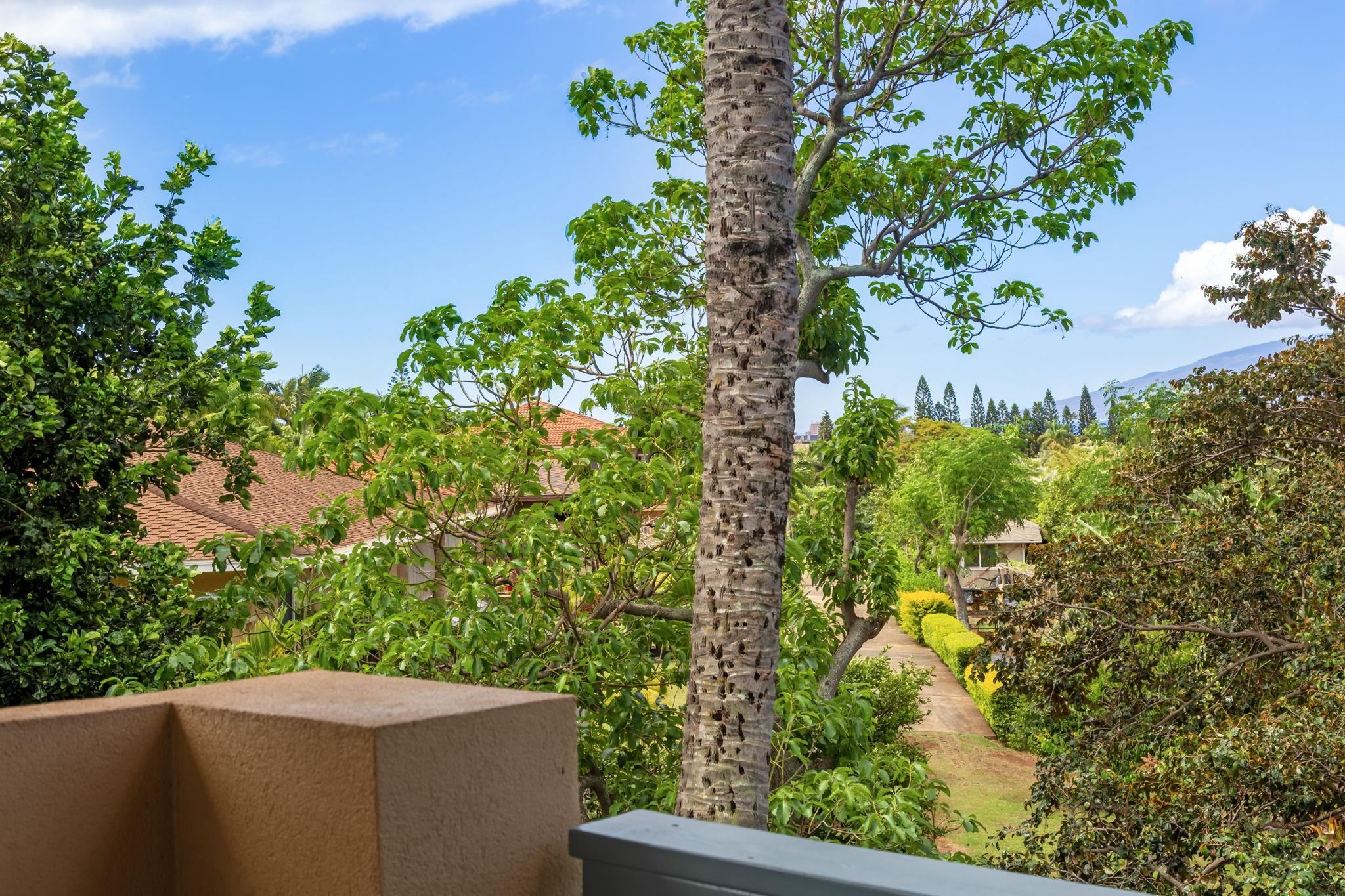10 Heather Lane, Unit 231 Lahaina, HI 96761 - Photo 22 of 44 a backyard of a house with lots of green space