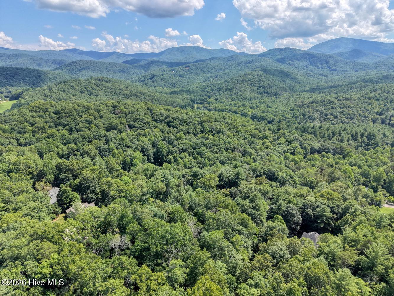 16 Souther Ridge Connector Blairsville, GA 30512 - Photo 57 of 60