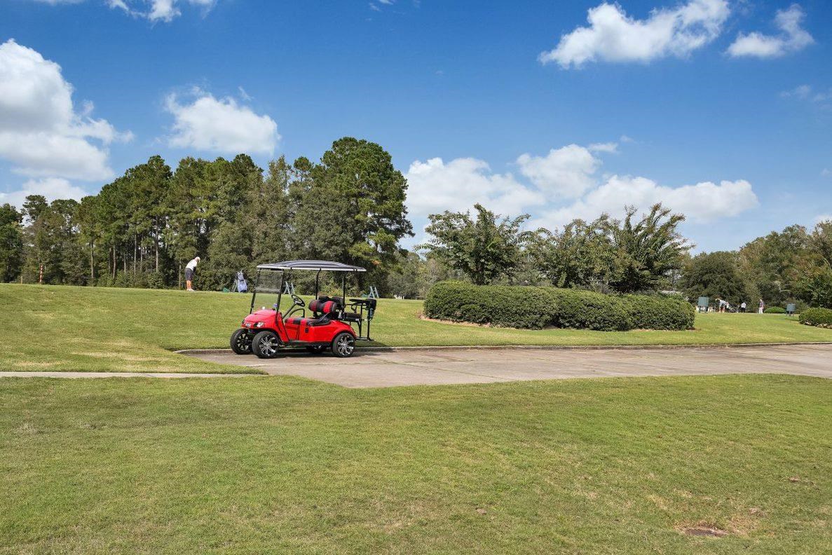 1050 Cherrystone Loop Conway, SC 29526 - Photo 33 of 39