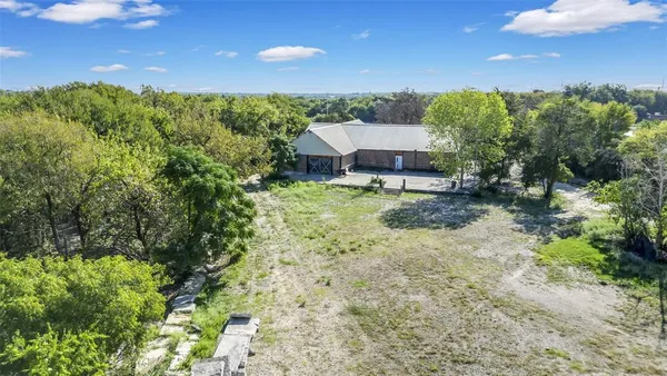 a view of a big yard with potted plants and large tree