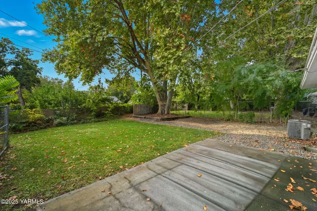 a view of a park with large trees