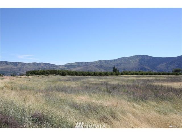 218 Griffith Ranch Road Manson, WA 98831 - Photo 1 of 1 Gallery Image 1
