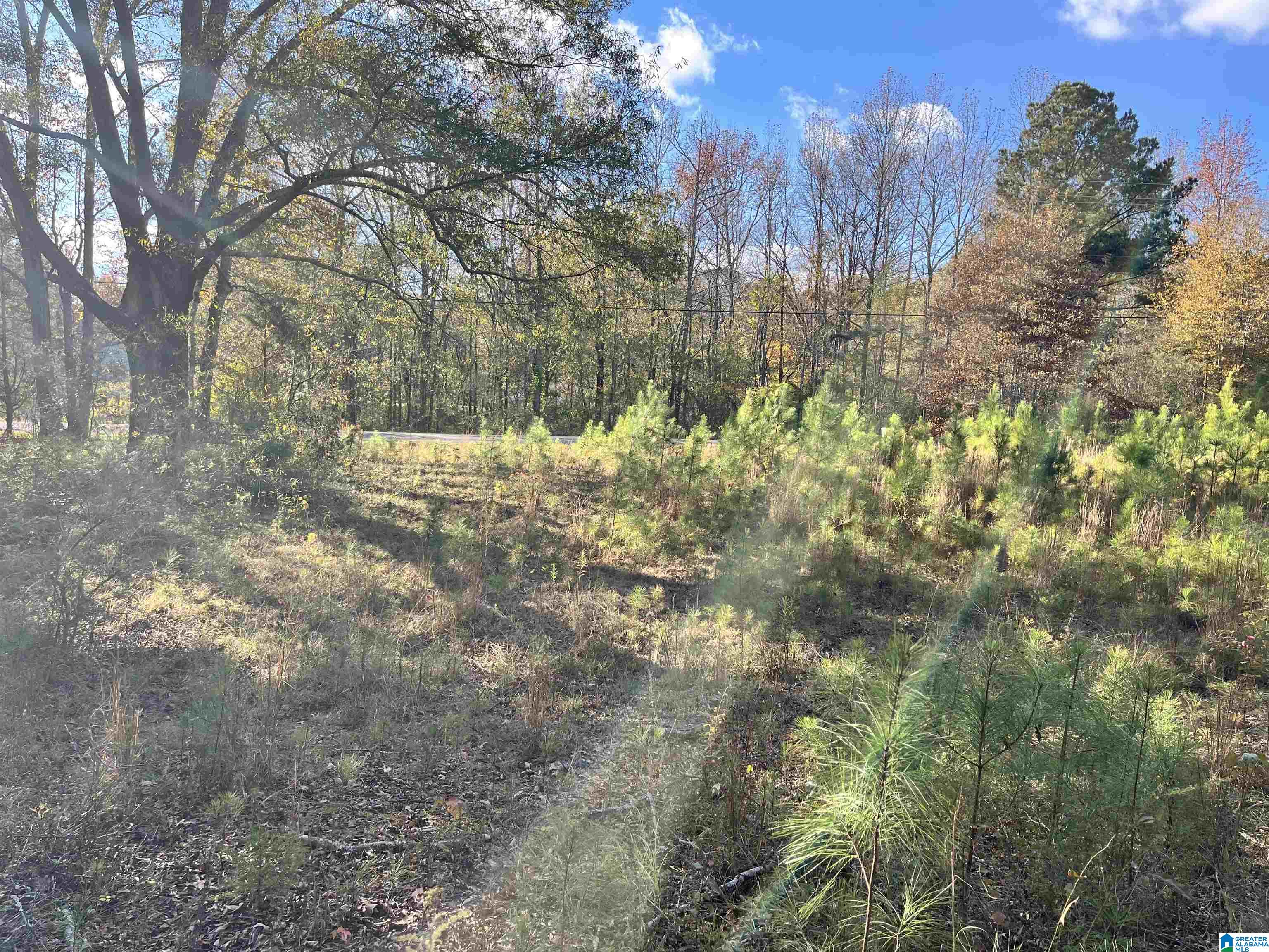 1720 Pleasant Valley Road, Unit 1 Pell City, AL 35125 - Photo 14 of 16
