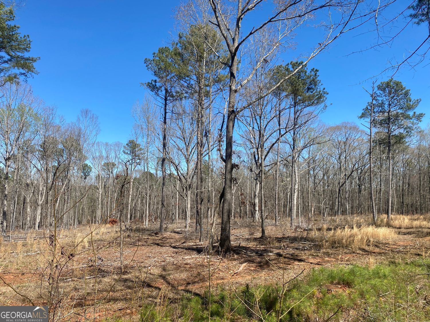 663 Giles Road Forsyth, GA 31029 - Photo 1 of 1