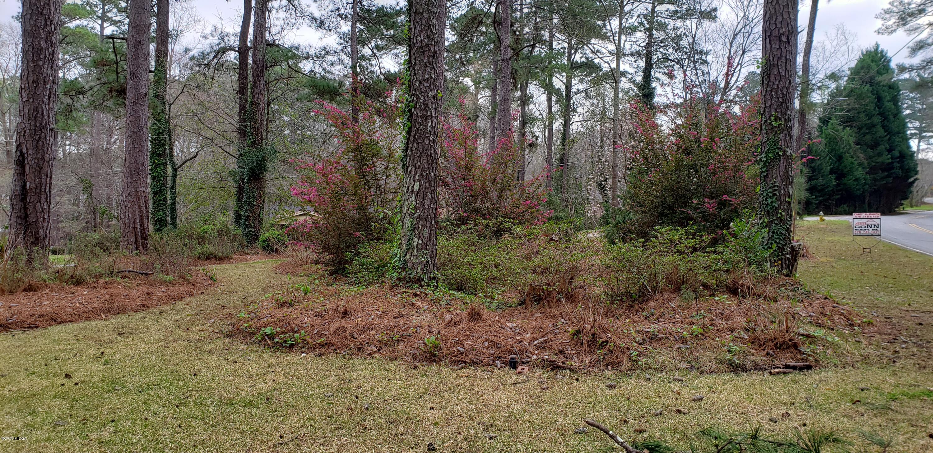 4467 Rivoli Drive Macon, GA 31210 - Photo 3 of 34 20190304_115959