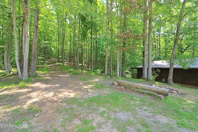 $569,000 | 495 Bear Hollow Road, Oneida, TN 37841