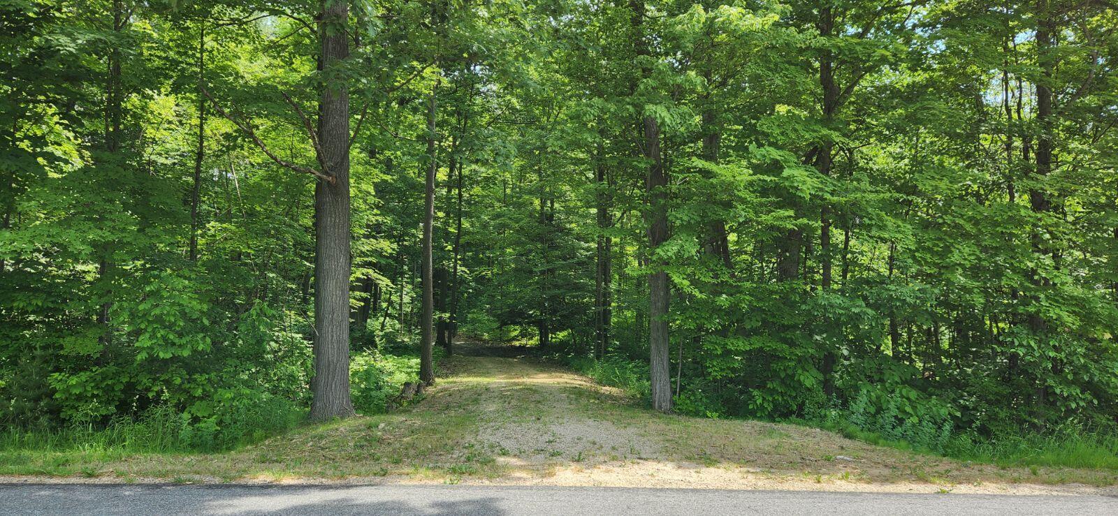 Vl South Sullivan Road Ravenna, MI 49451 - Photo 1 of 9 image000000 10