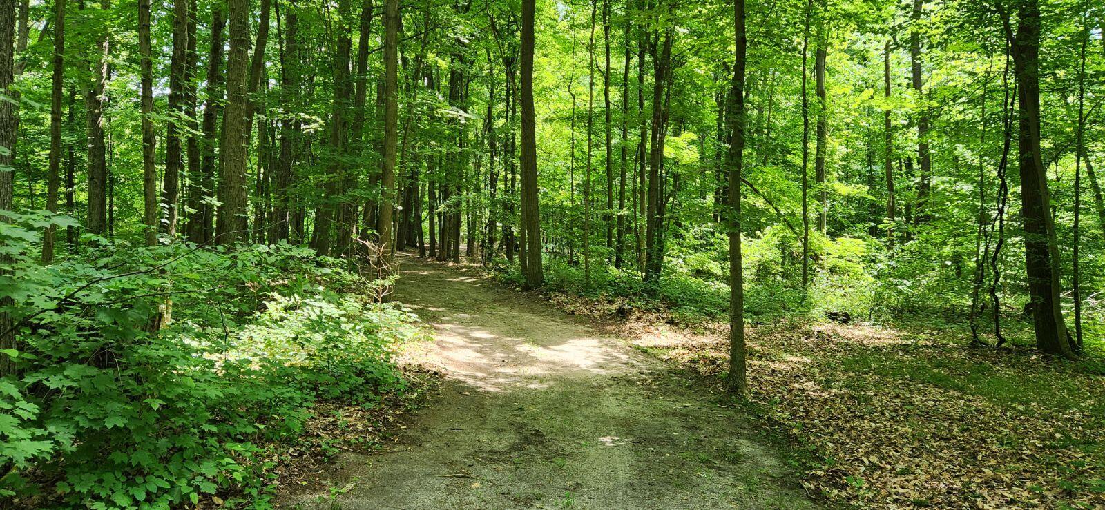 Vl South Sullivan Road Ravenna, MI 49451 - Photo 6 of 9 image000000 7