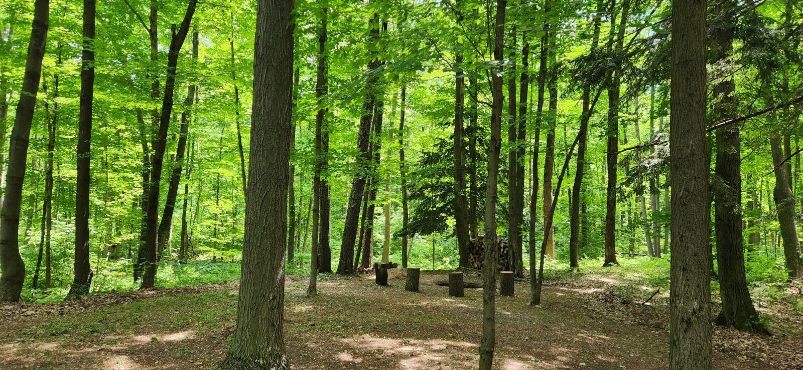 Vl South Sullivan Road Ravenna, MI 49451 - Photo 9 of 9 image000000 4