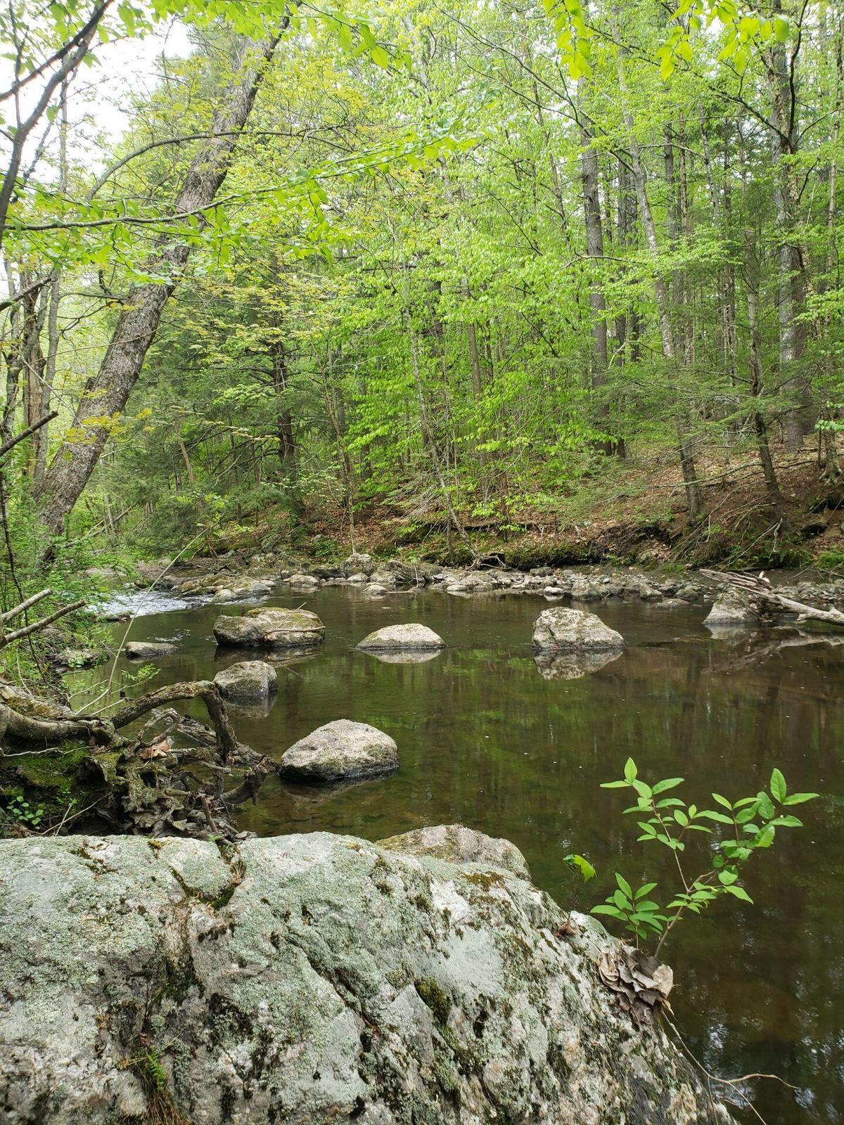 0 Hall Road Windham, ME 04062 - Photo 3 of 5 IMG_0289
