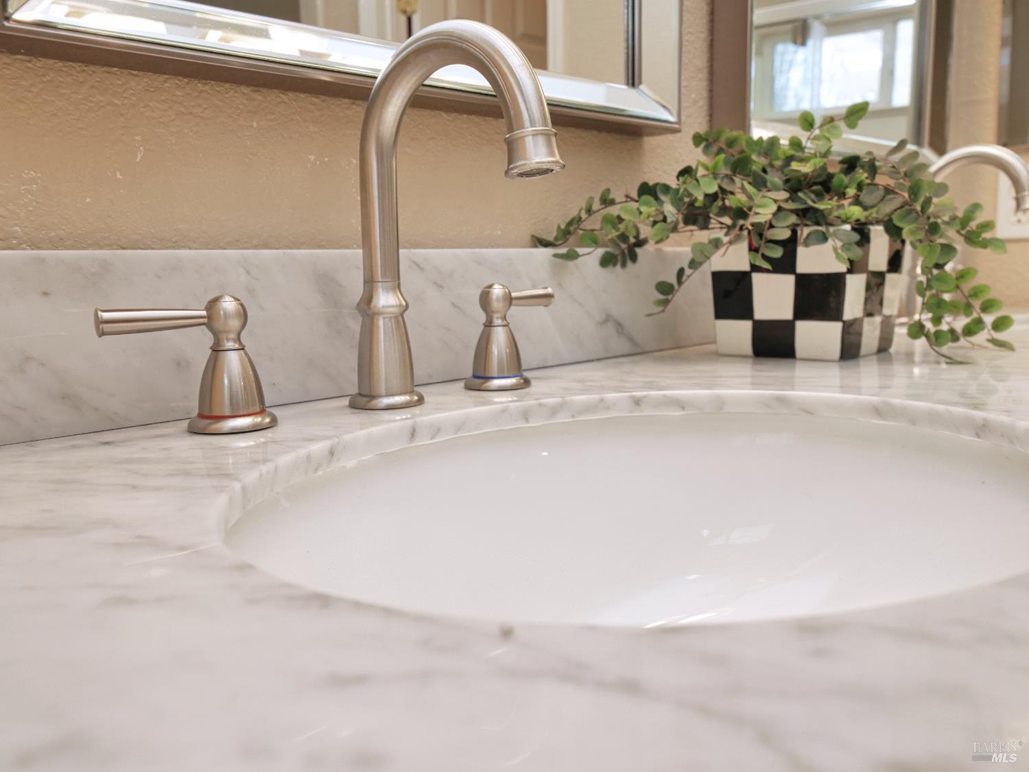 773 Turnberry Terrace Rio Vista, CA 94571 - Photo 25 of 52 a close view of sink