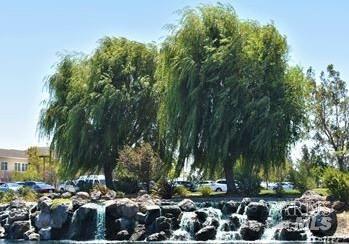 773 Turnberry Terrace Rio Vista, CA 94571 - Photo 41 of 52 a view of outdoor space and street view