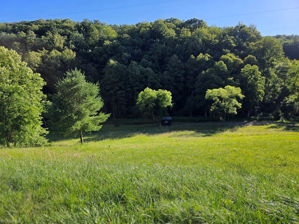 3205 Sheets Gap Road Millers Creek, NC 28651 - Photo 6 of 46