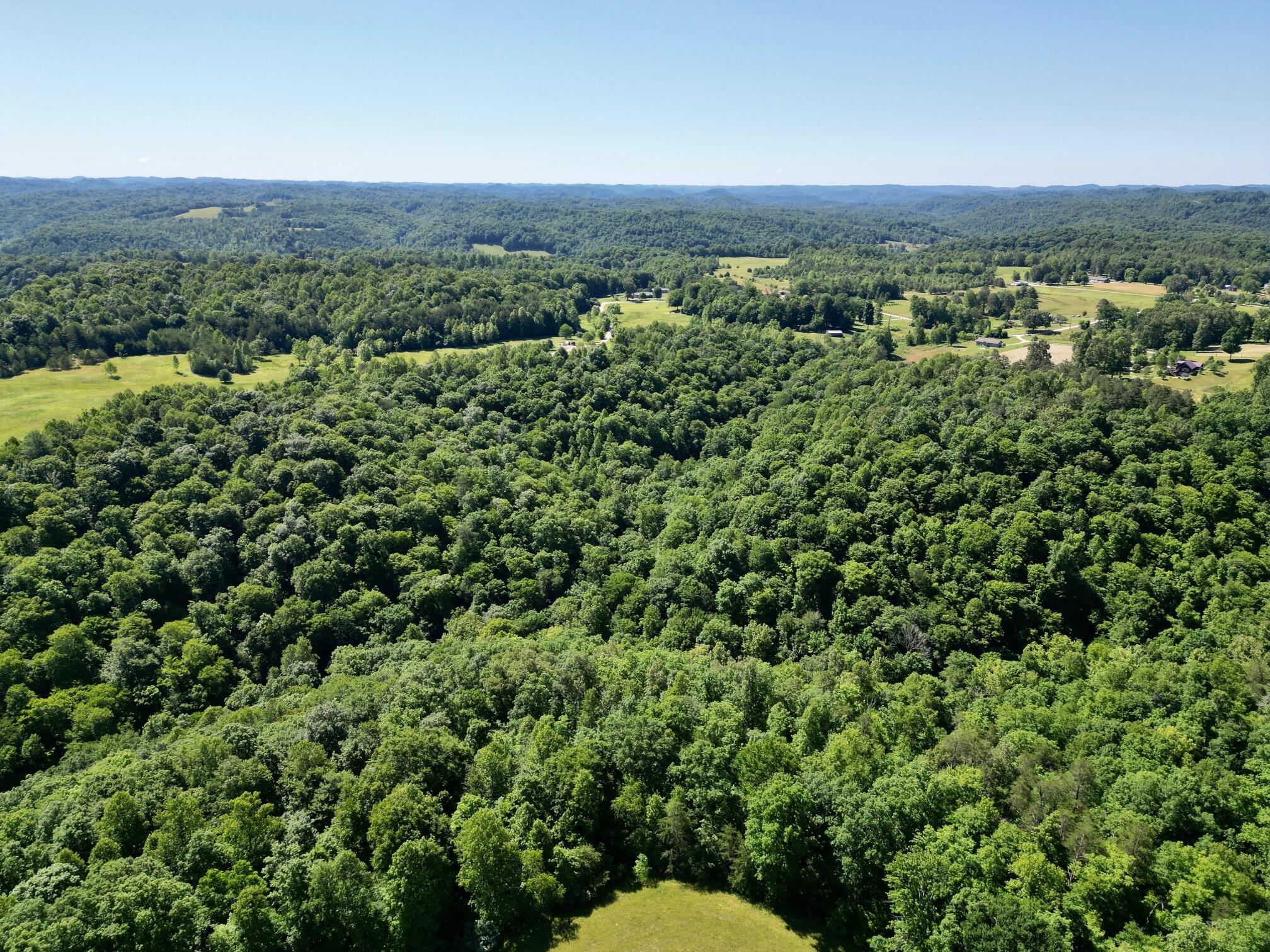 1235 Long Branch Road Beattyville, KY 41311 - Photo 44 of 46 dji_fly_20260603_105520_995_178050008731