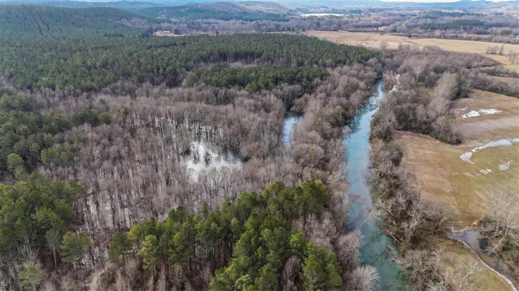 557 Taliaferro Springs Road Lyerly, GA 30730 - Photo 4 of 15