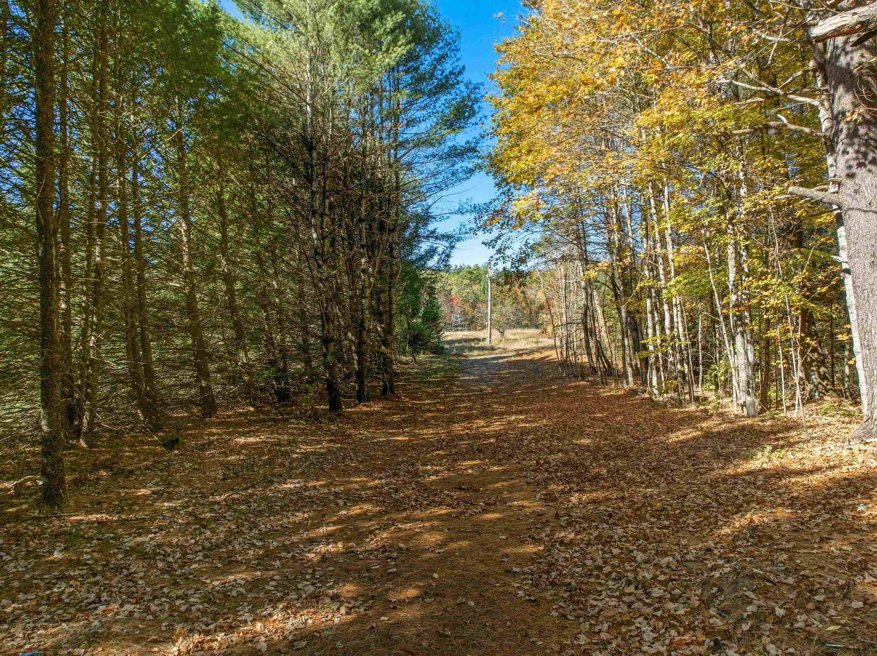 115 Adams Farm Road Thornton, NH 03285 - Photo 3 of 41