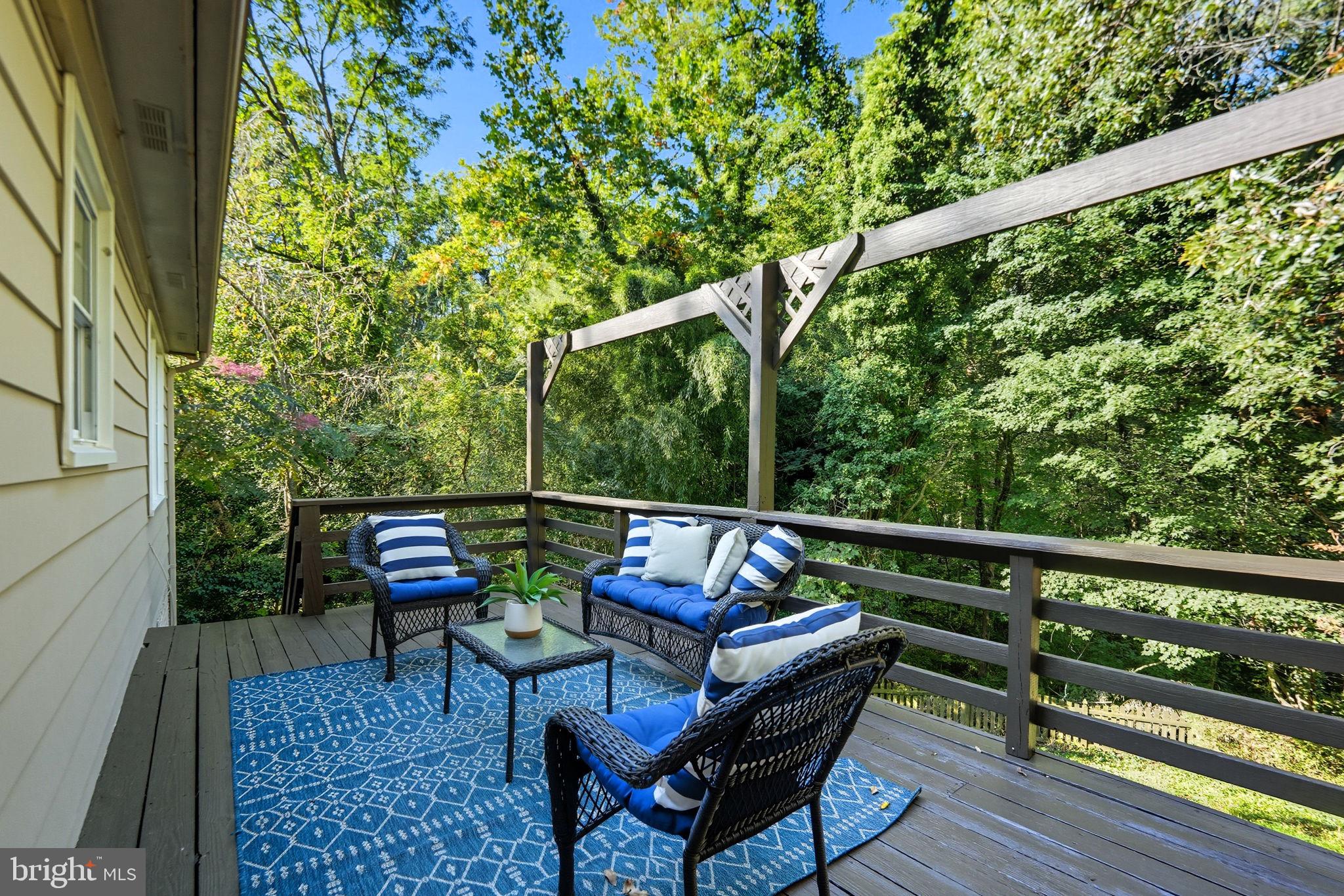 10196 Red Spruce Road Fairfax, VA 22032 - Photo 29 of 36