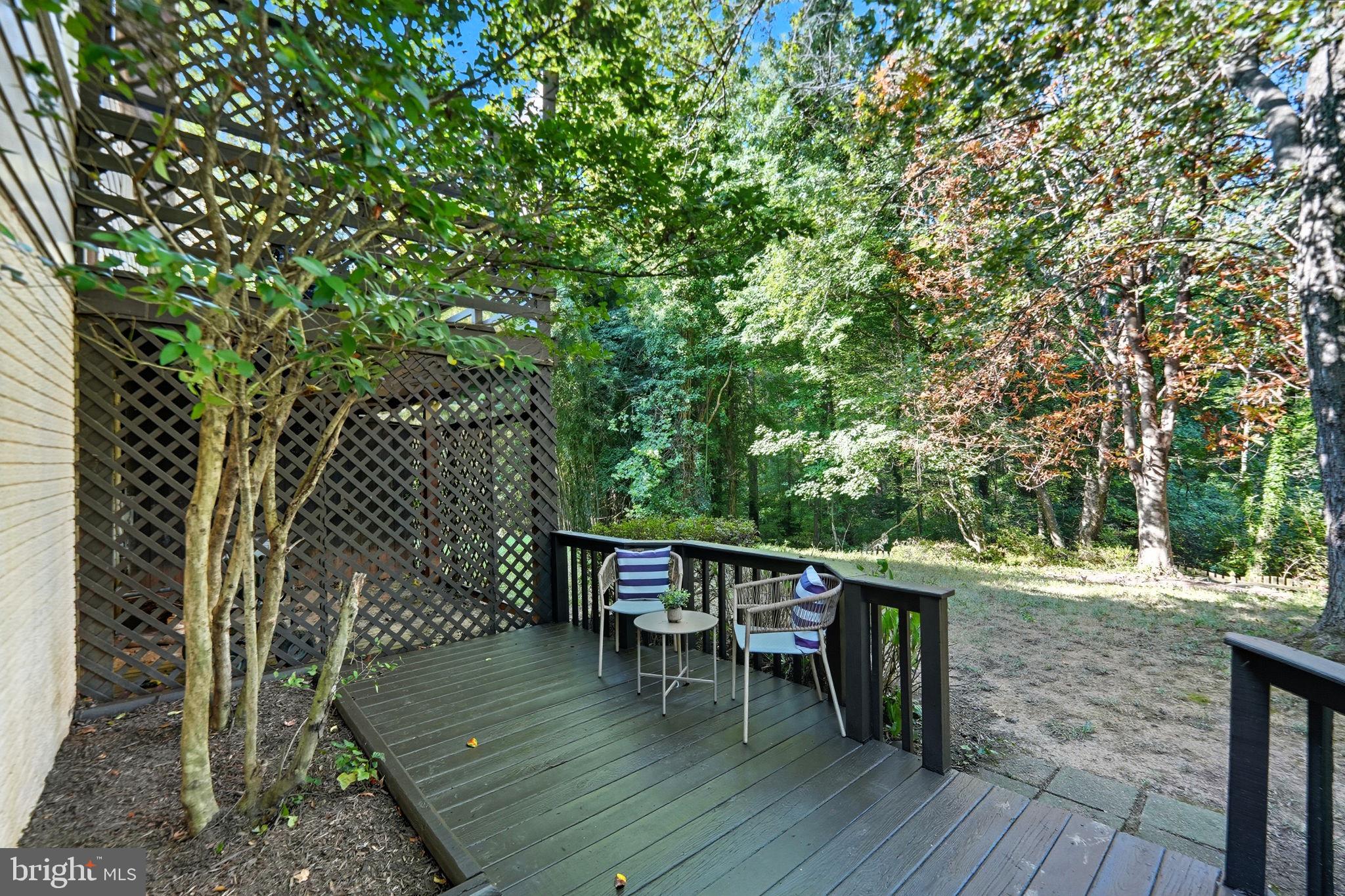 10196 Red Spruce Road Fairfax, VA 22032 - Photo 31 of 36