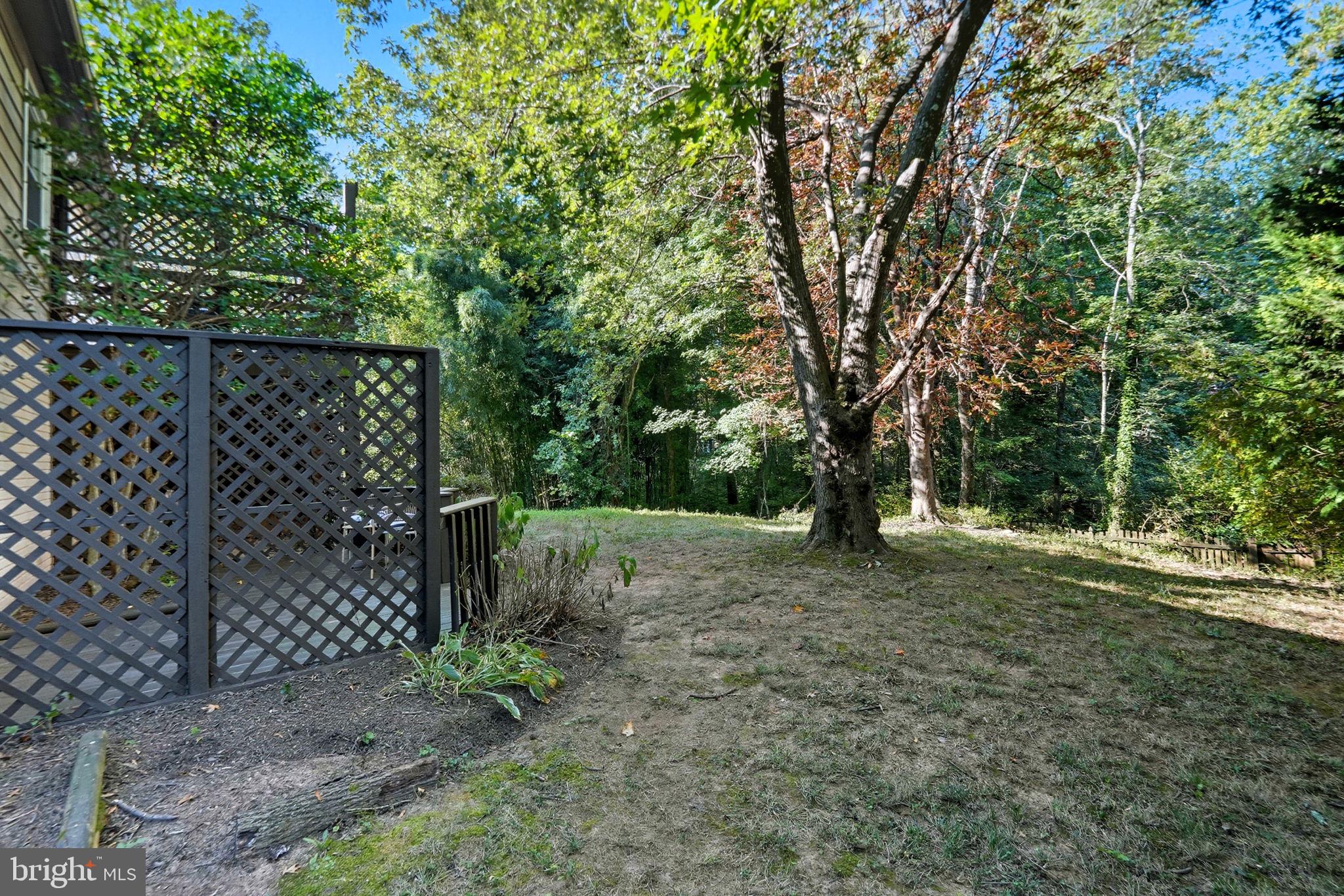 10196 Red Spruce Road Fairfax, VA 22032 - Photo 33 of 36