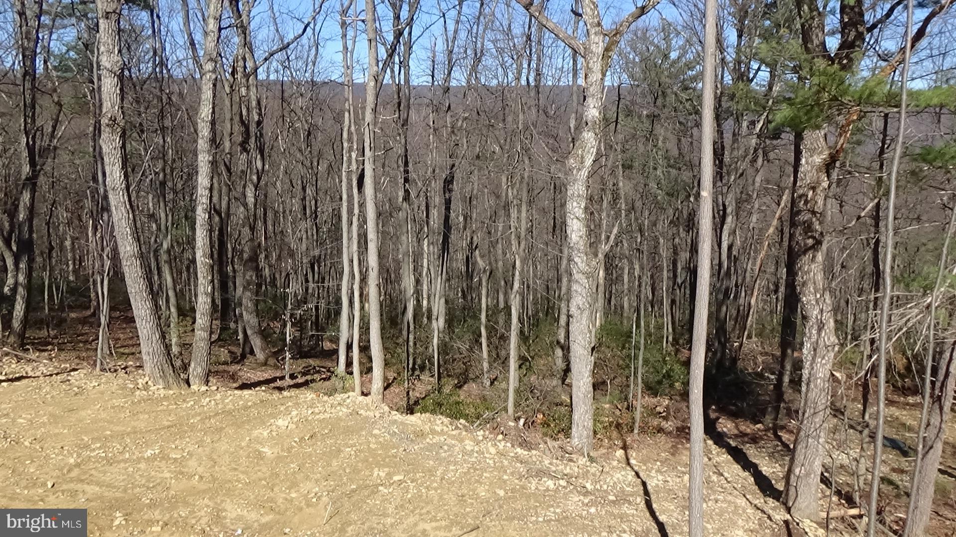 746 Hilltop Road Millerstown, PA 17062 - Photo 22 of 24 a view of outdoor space with wooden fence