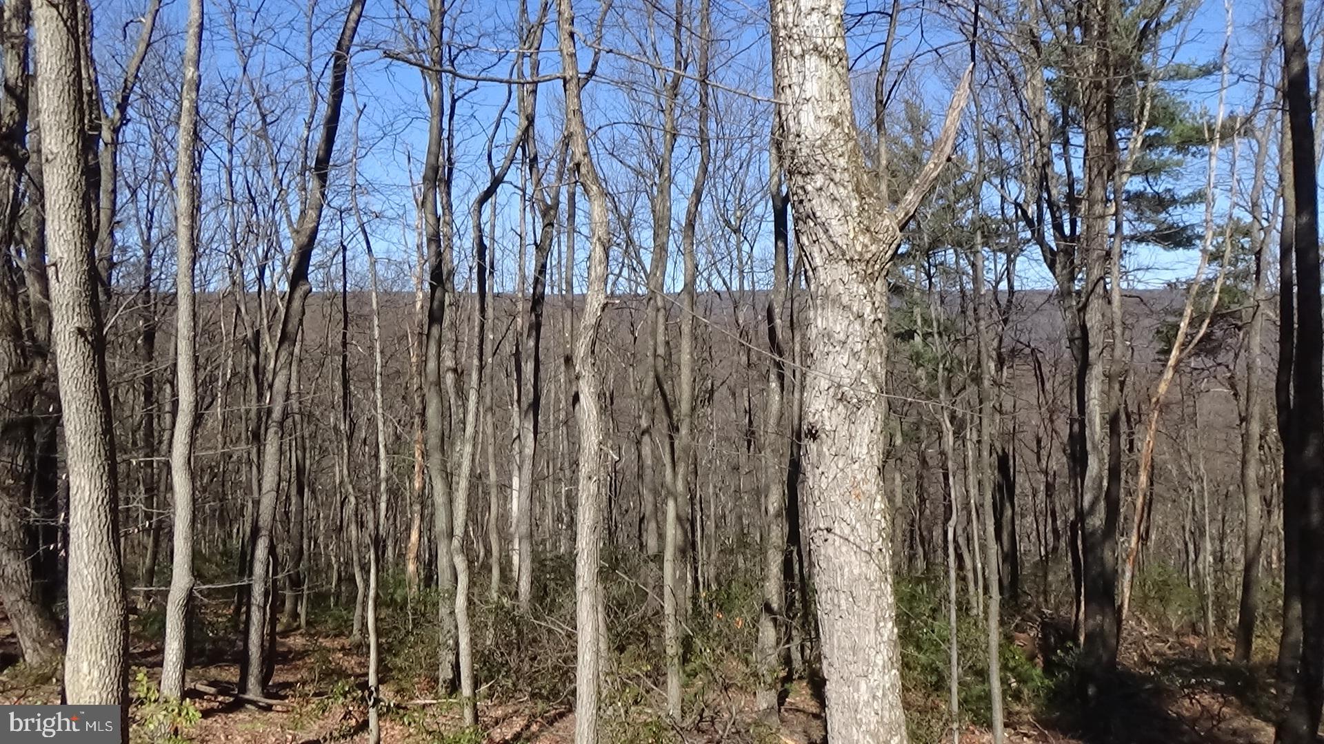 746 Hilltop Road Millerstown, PA 17062 - Photo 23 of 24 a view of outdoor space with a garden