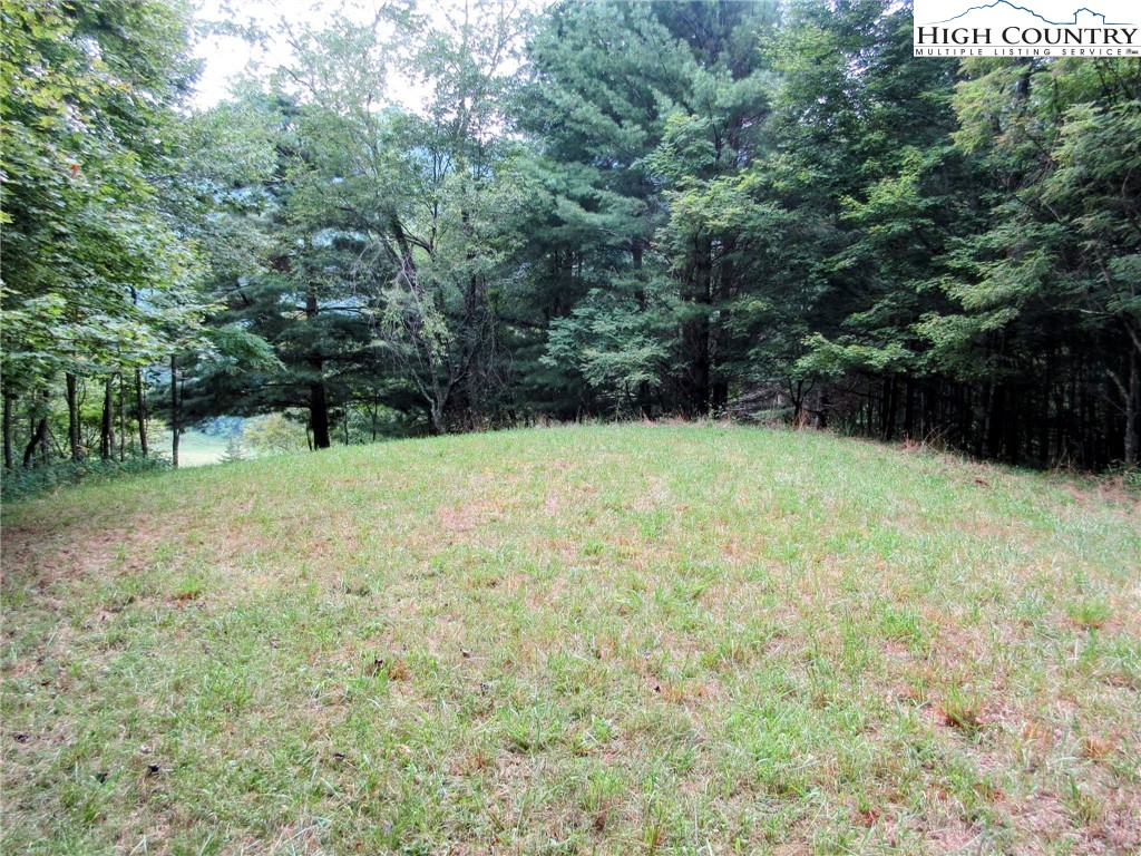 1294 Spencer Branch Road Lansing, NC 28643 - Photo 29 of 42 a backyard of a house with lots of green space