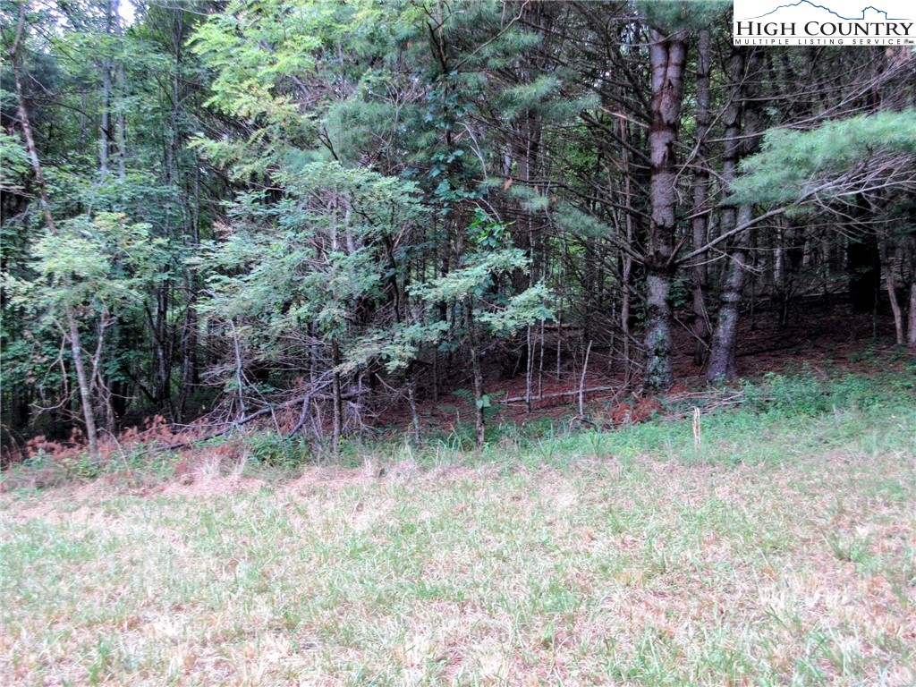 1294 Spencer Branch Road Lansing, NC 28643 - Photo 31 of 42 a backyard of a house with lots of green space