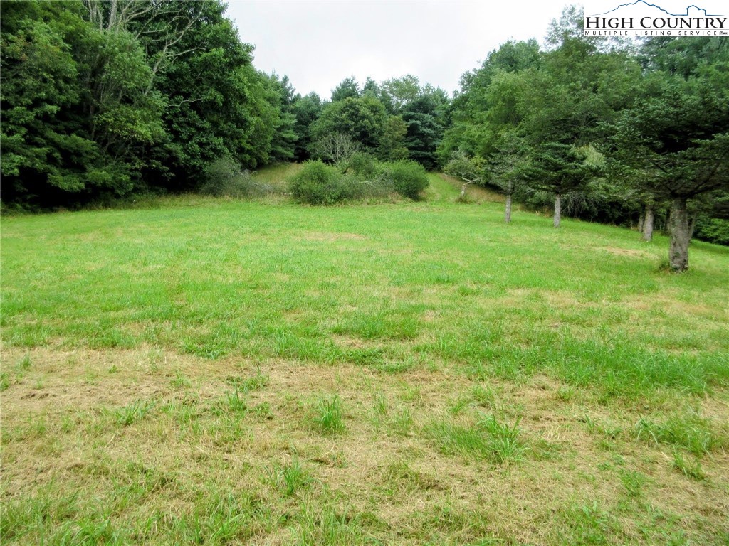 1294 Spencer Branch Road Lansing, NC 28643 - Photo 33 of 42 a view of a green field with trees in the background
