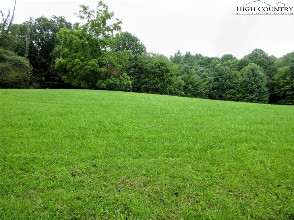 1294 Spencer Branch Road Lansing, NC 28643 - Photo 34 of 42 a view of field with trees in the background