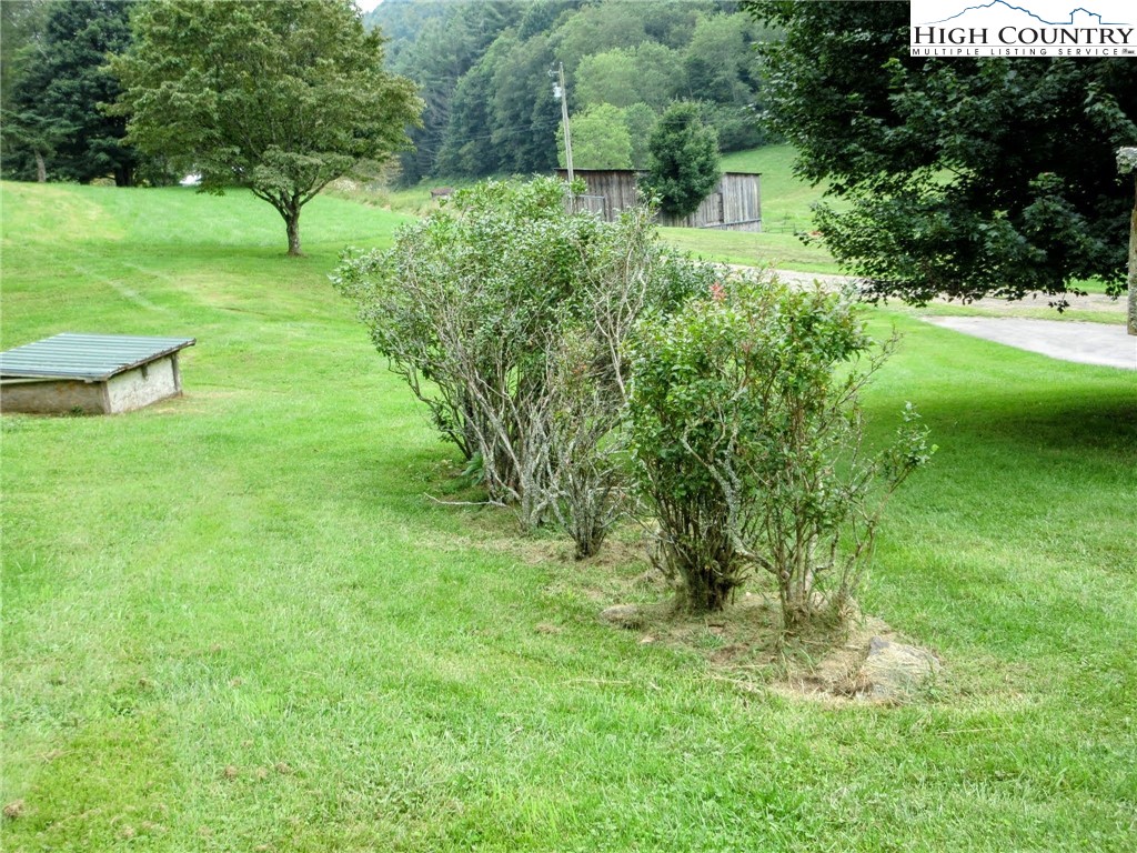 1294 Spencer Branch Road Lansing, NC 28643 - Photo 41 of 42 a view of yard with green space