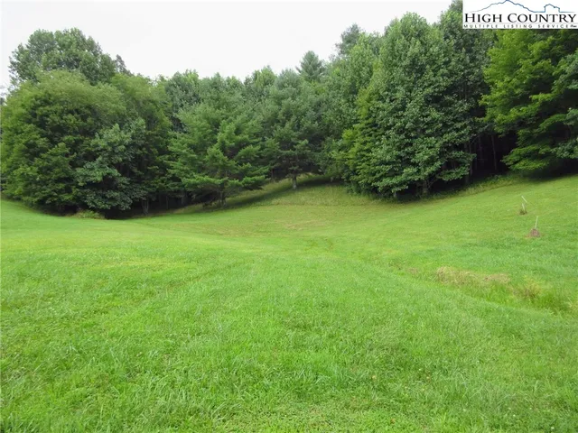 a view of a green yard