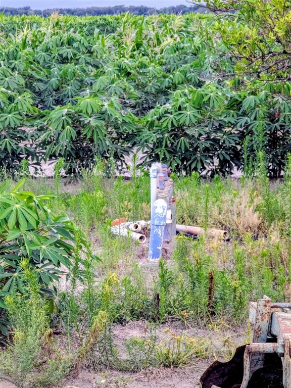 Tom Bryan Road Zolfo Springs, FL 33890 - Photo 2 of 10