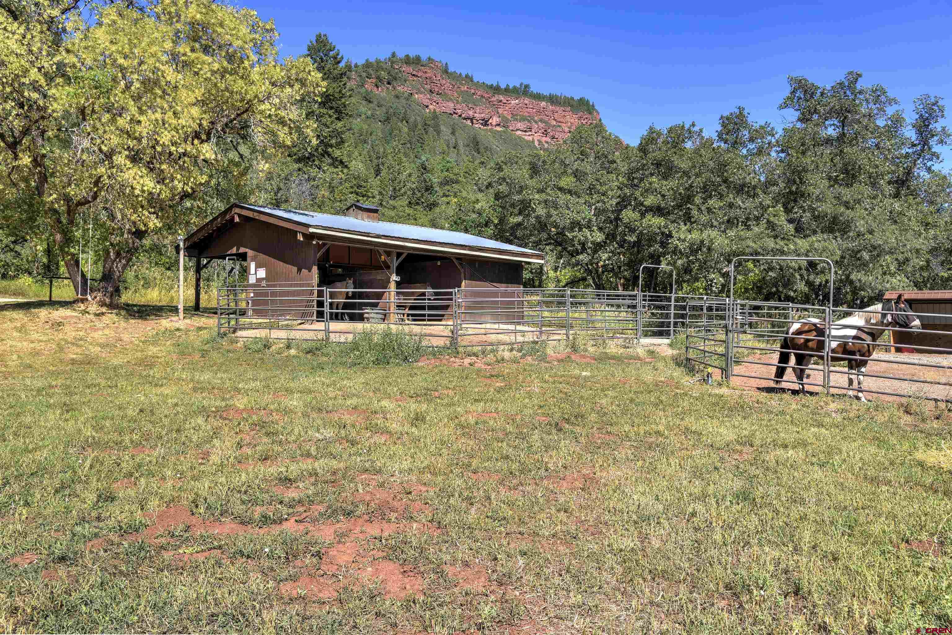 47 Mason Cabin Road Durango, CO 81301 - Photo 6 of 35 a backyard of a house with table and chairs