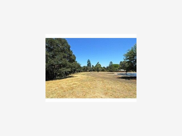 40 Rocky Road Santa Cruz, CA 95060 - Photo 6 of 6 Gallery Image 6