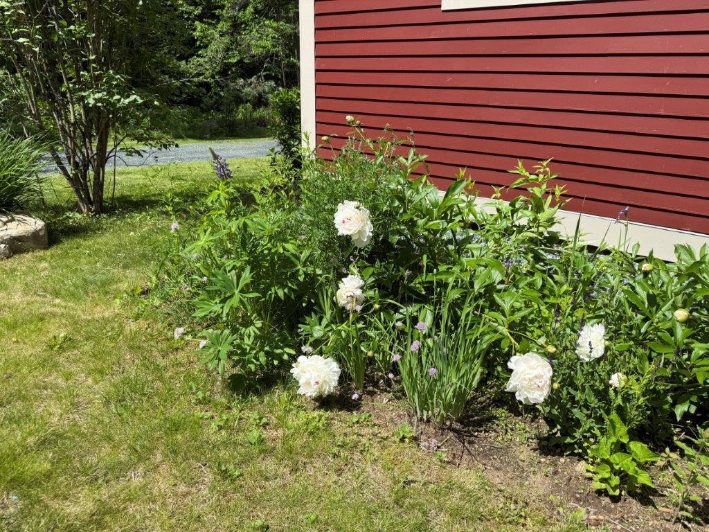 232 River Road Canaan, NH 03741 - Photo 35 of 57