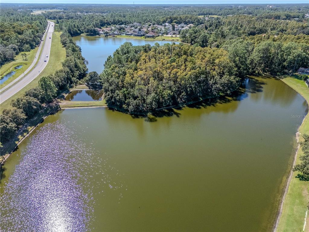 4938 Yellowstone Drive New Port Richey, FL 34655 - Photo 38 of 51