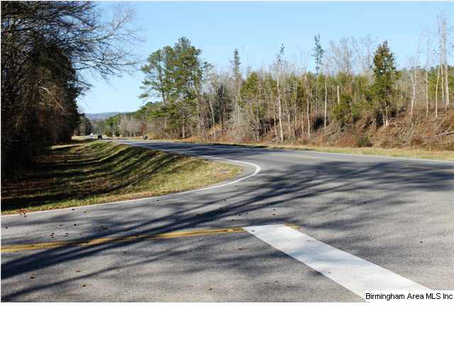 Mount Eagle Lane, Unit 2 Weaver, AL 36277 - Photo 2 of 26