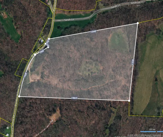 view of outdoor space and yard