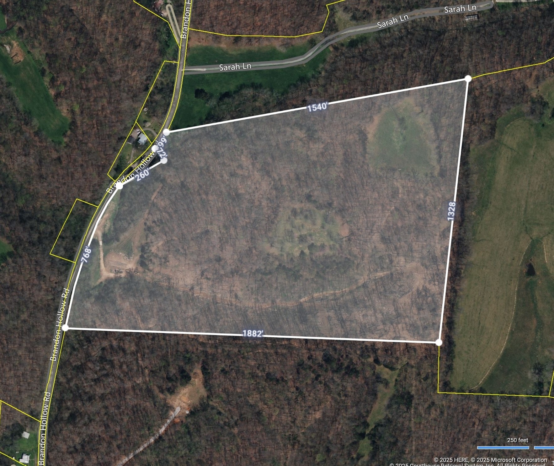 806 Brandon Hollow Road Lynchburg, TN 37352 - Photo 2 of 38 view of outdoor space and yard